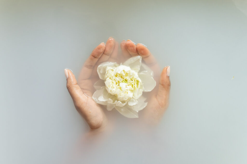 tranquil image of flower in milk bath